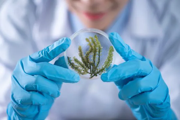 Scientific research on gut health